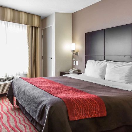 Comfort Inn Los Angeles Near Hollywood Zewnętrze zdjęcie